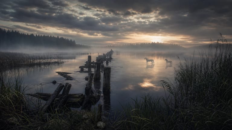 An old bridge breaks over Lake Sartai as silhouettes of chestnut horses sink into mist and reflections