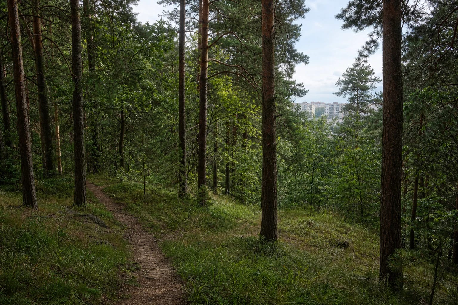 A wooded path through Šeškinė Slopes Geomorphological Reserve with Vilnius apartment blocks in the distance