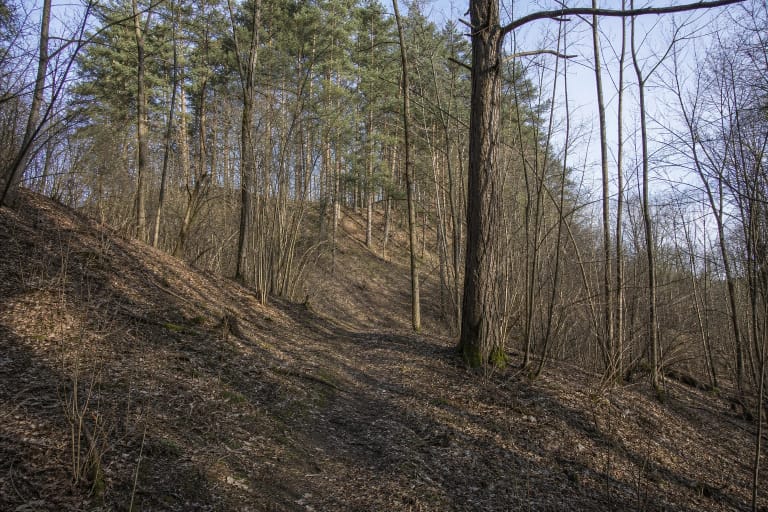 Mišku apaugęs Šėtijų piliakalnio Jundakalnis su stačiu šlaitu virš Liekės slėnio ankstyvą pavasarį