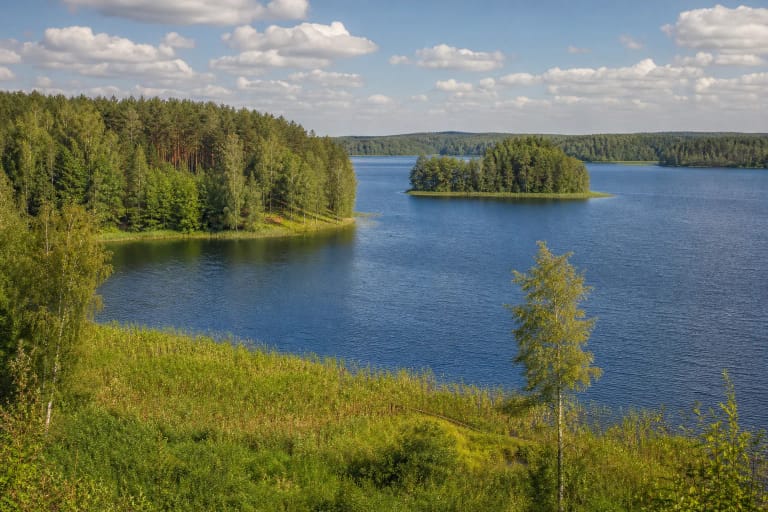 Mėlynas Siesarčio ežeras su nendrių pakrante, miškingais pusiasaliais ir sala