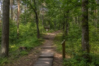 Nature trail through Šilinė oakwood in Panemunių Regional Park