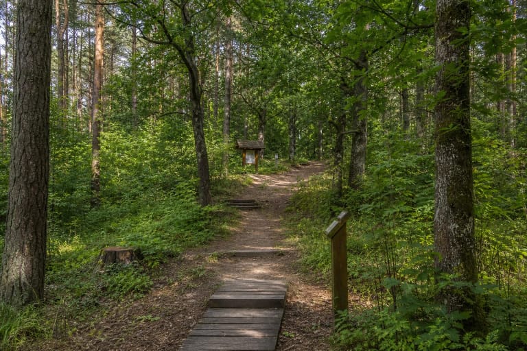 Nature trail through Šilinė oakwood in Panemunių Regional Park