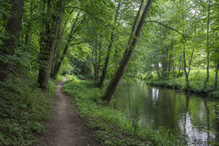A tree-lined path in Šilutė City Park beside the calm Šyša River