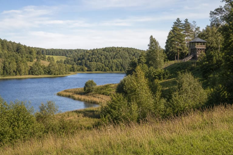 Sirvėtos regioninio parko ežeras ir miškingos kalvos prie Šventos