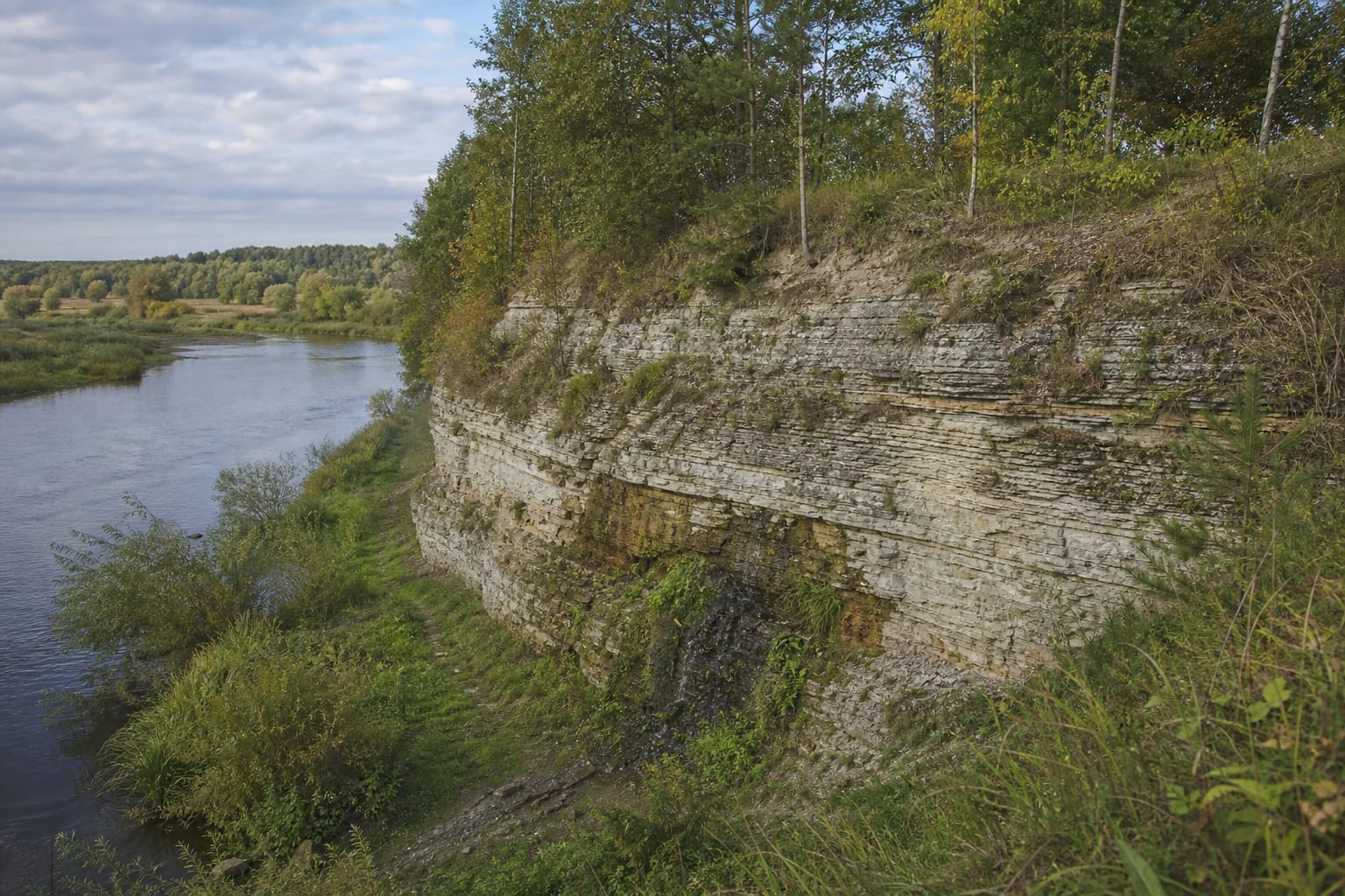 Layered dolomite outcrop above the green Mūša River valley at Skalių Kalnas