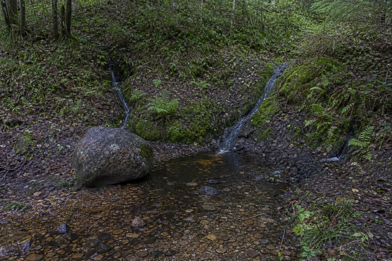 Two Skudutiškis spring flows joining beside a mossy granite stone on a wooded slope