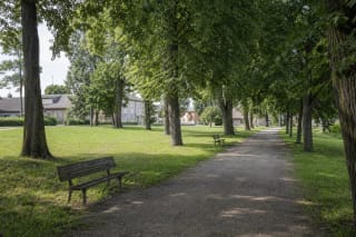 Взрослые деревья, скамейки и дорожка в городском парке Смалининкай