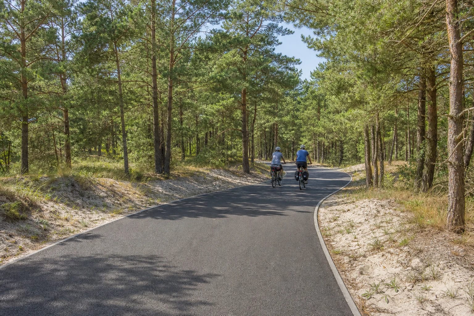 Two cyclists on the rebuilt Smiltynė-Juodkrantė path among Curonian Spit pines and pale dune sand