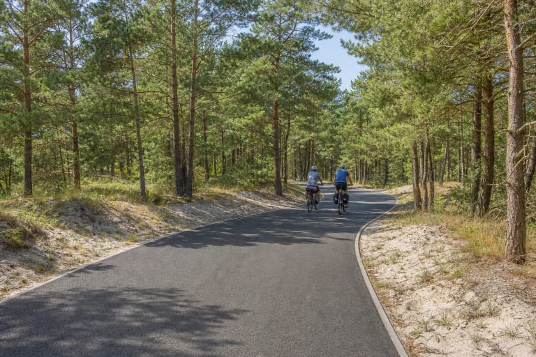 Two cyclists on the rebuilt Smiltynė-Juodkrantė path among Curonian Spit pines and pale dune sand