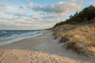 White sand, Baltic waves, protective dune ridge, and pine forest edge at Smiltynė Beach on a summer evening