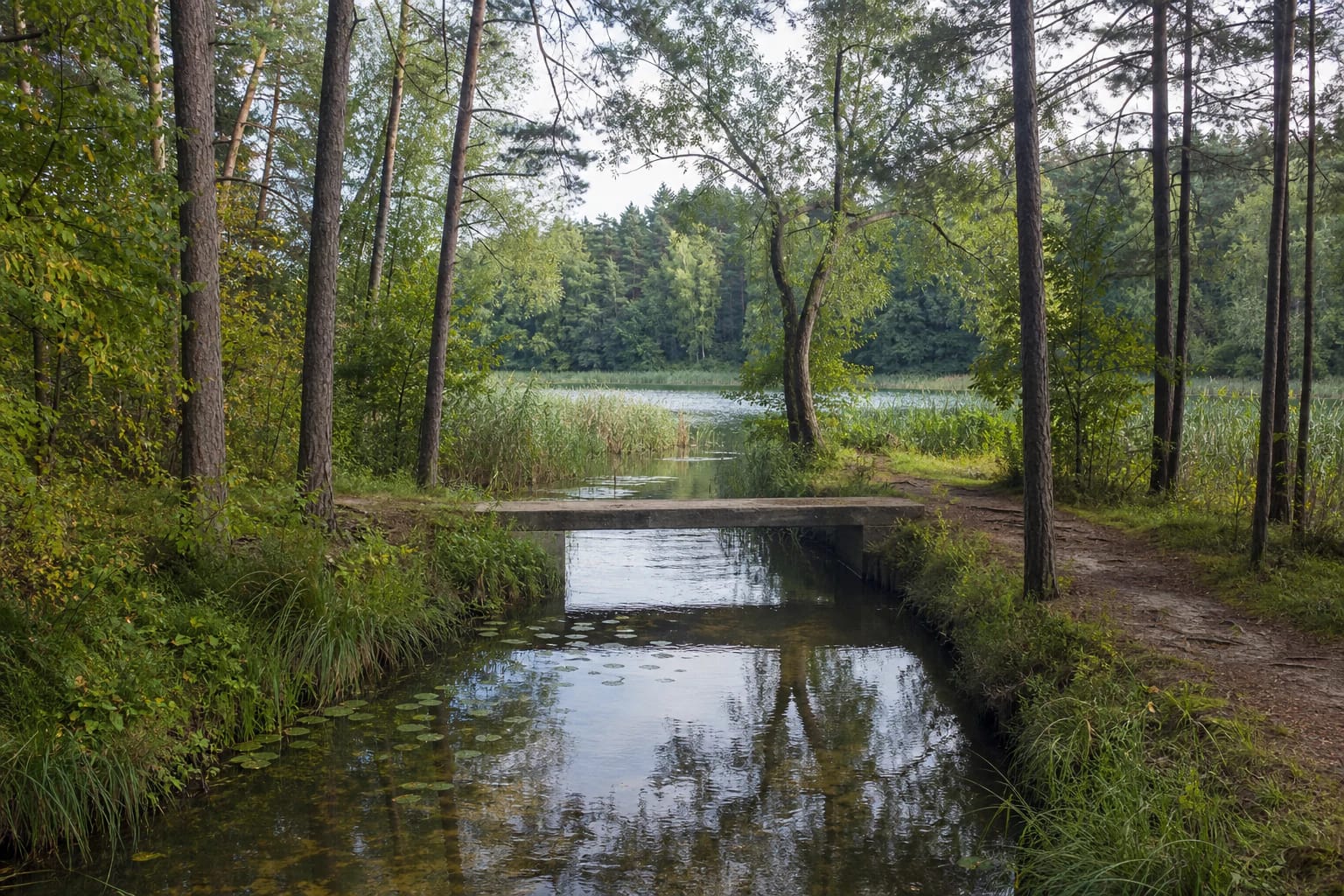 Strėvos protaką tarp Spindžiaus ir Spindžiuko ežerų kertantis tiltas miškų apsuptyje