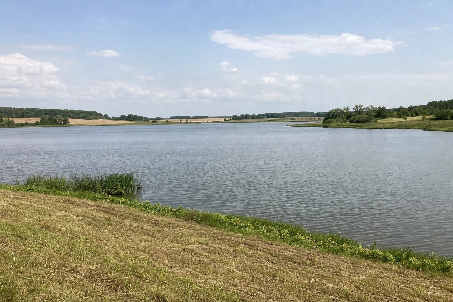 Broad water surface, low grassland, and tree-lined shores of Stepanionių Pond in Panevėžys District