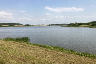 Stepanionių tvenkinio platus vandens paviršius, žemos pievos ir medžiais apaugę krantai Panevėžio rajone