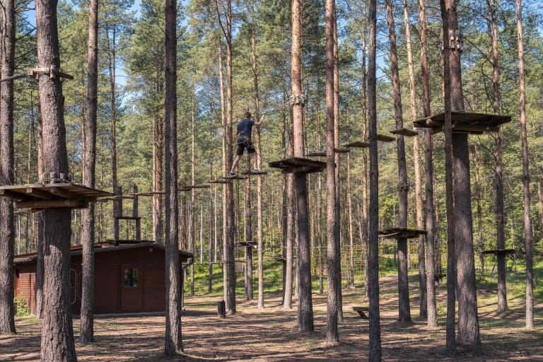 Wooden STIHL Rope Park platforms and obstacles among the tall pines of Kazlų Rūda as a harnessed visitor crosses the course