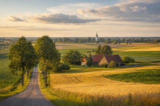 Suvalkija's fertile lowlands with geometric fields, a tree-lined road, a traditional farmstead, and a distant church tower