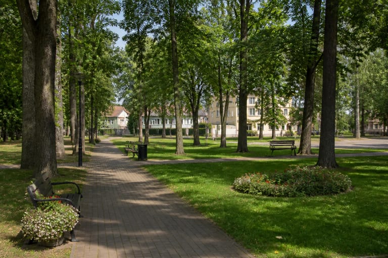 Дорожка в городском парке Швенчёниса среди взрослых деревьев, газона, клумб и скамеек
