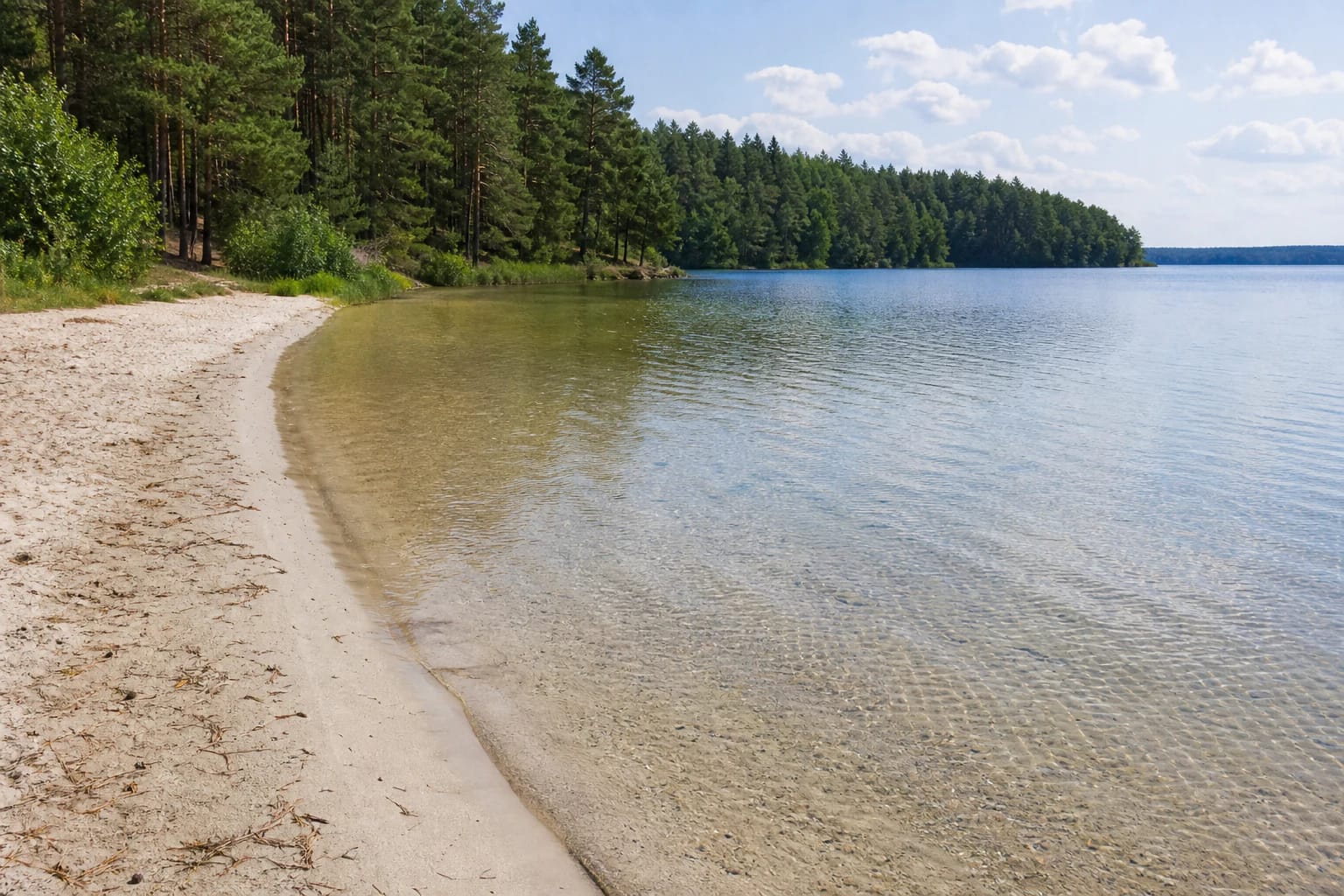 Sandy shore of Švento Lake with clear water and pine forest in Gražutė Regional Park