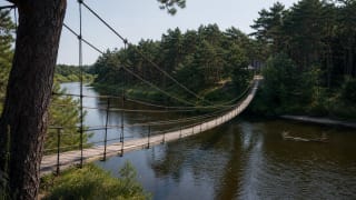 Šventoji Monkey Bridge above the Šventoji River with seaside pine trees