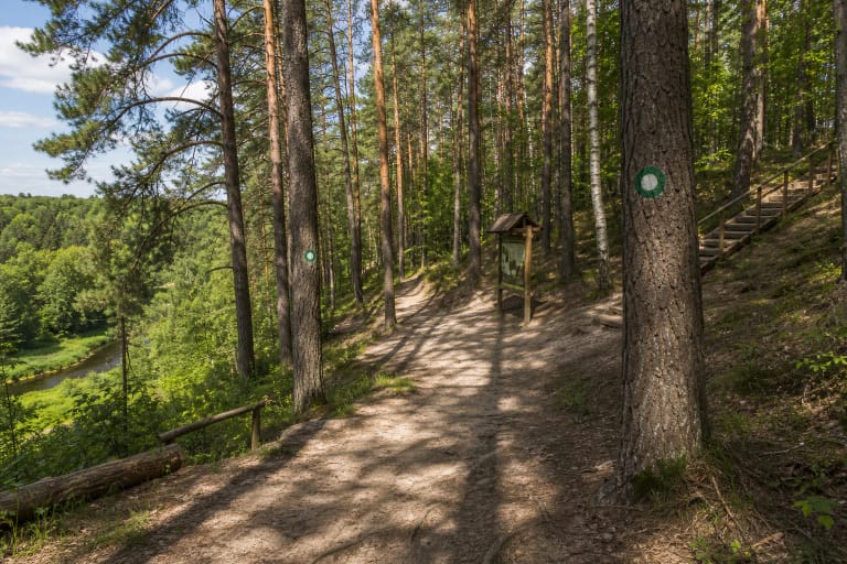Šventosios pažintinis takas Anykščiuose su smėlėtu Anykščių šilelio keliu, žaliais tako ženklais ir Šventosios slėniu