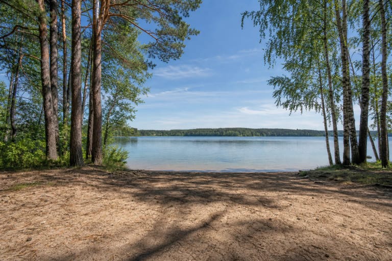 Tapelių ežero smėlėta pakrantė tarp pušų ir beržų, atsiverianti į ramų miško apsuptą vandenį