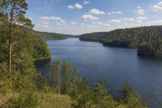 Lake Tauragnas in Aukštaitija with dark blue water and wooded shores