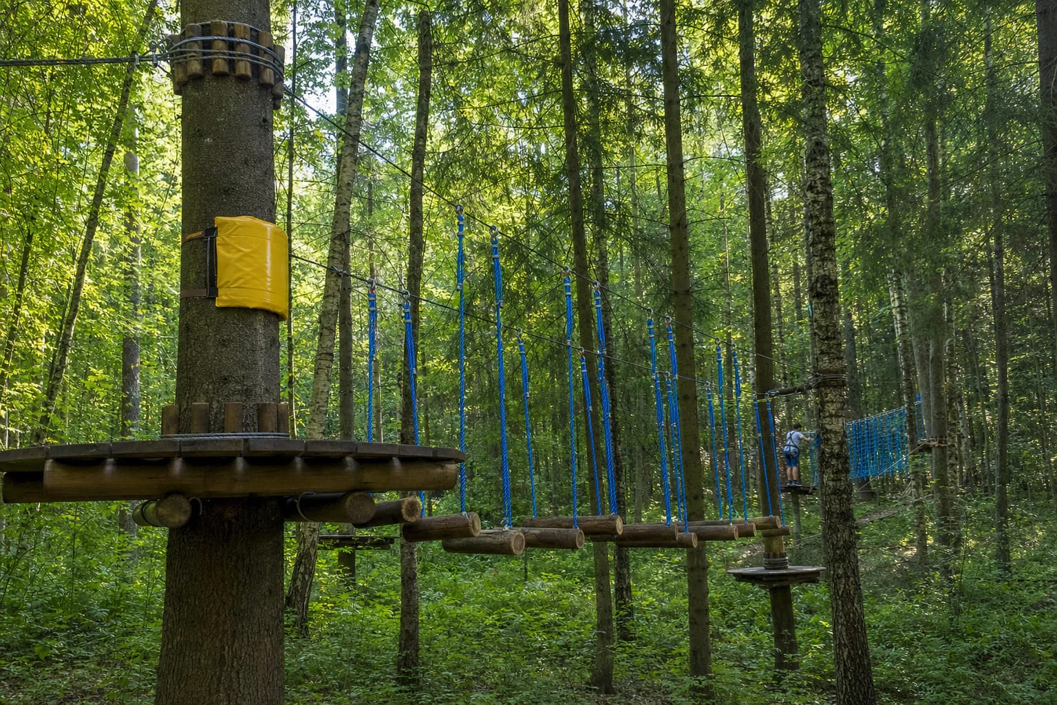 Taurų nuotykių parko medinė platforma ir mėlynų virvių kliūčių trasa brandžiame miške