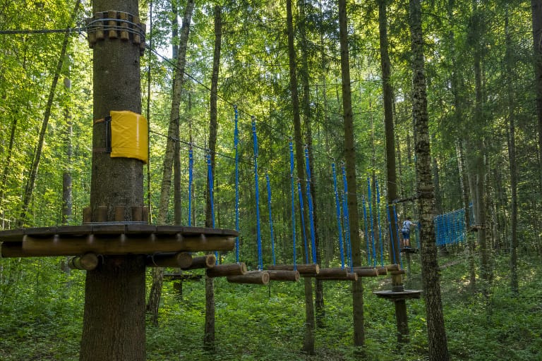Taurų nuotykių parko medinė platforma ir mėlynų virvių kliūčių trasa brandžiame miške