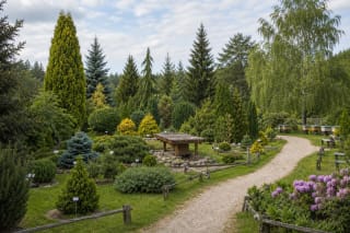 Rare trees and shrubs in Tervydžiai Dendrological Park