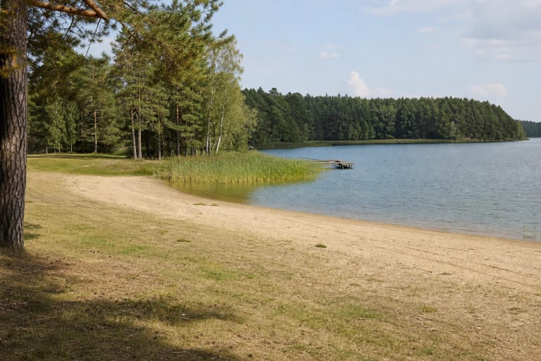 Totoriškių paplūdimio smėlis, nendrės ir miškinga Totoriškių ežero pakrantė