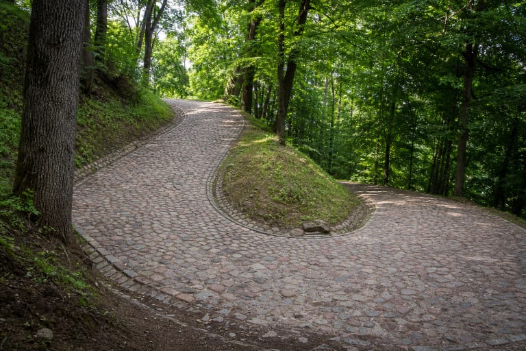 The fieldstone surface of Tuputiškės Serpentine turning sharply through dense green woodland in Pavilniai Regional Park