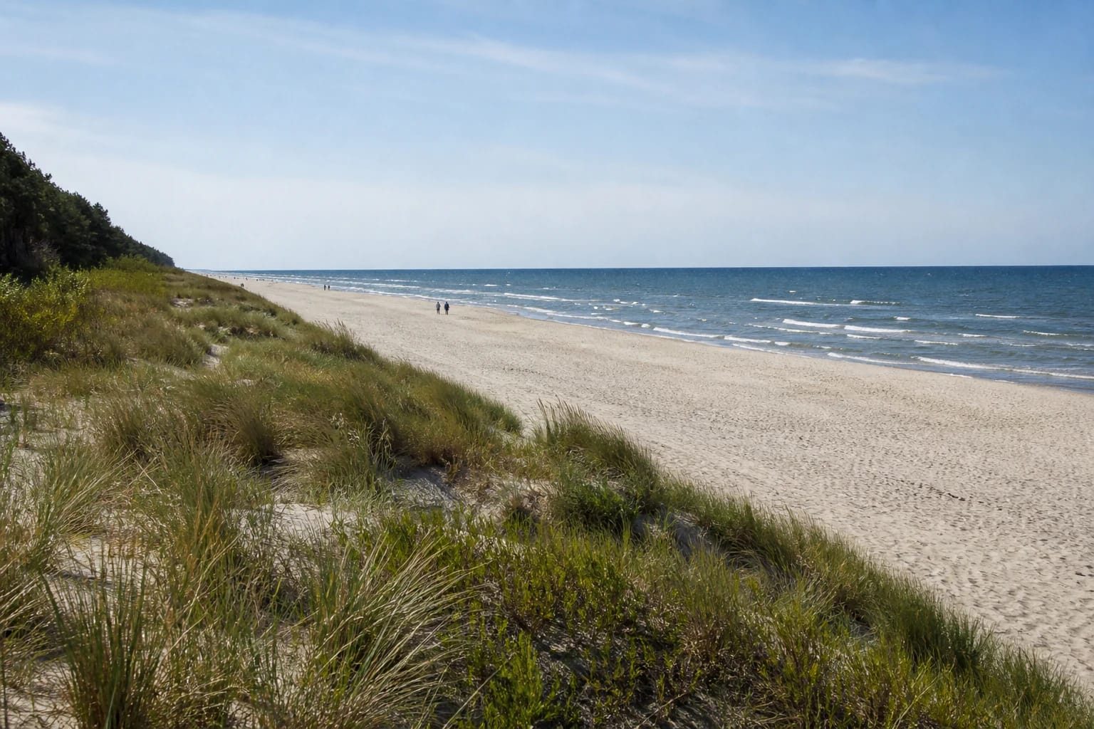 Broad Vanagupė Beach with pale sand, coastal grasses, pine forest, and calm Baltic waves