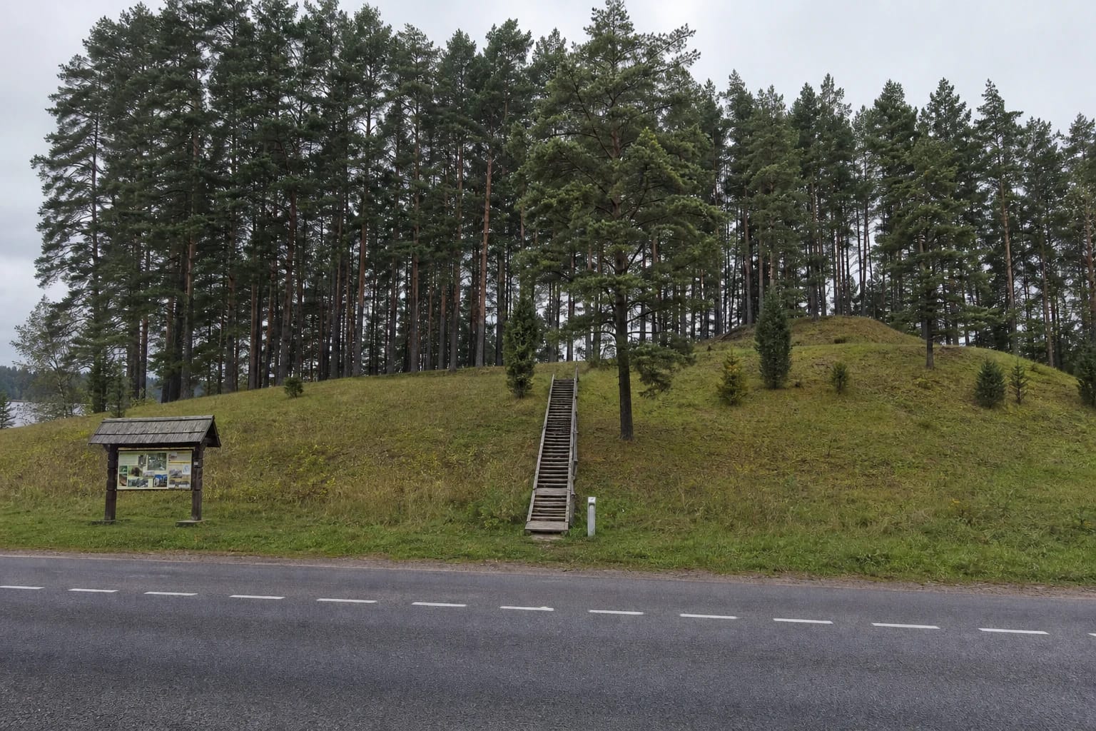 Pušimis apaugęs Velikuškių II piliakalnio šlaitas ir mediniai laiptai prie Dusetų-Obelių kelio