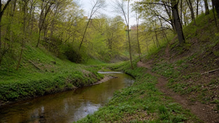 Versva stream valley in Kaunas with trees, meadow, and a narrow natural path