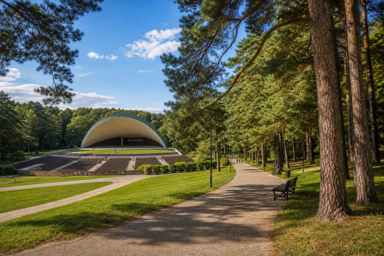 Vingio parko pušynas ir takai Neries kilpoje Vilniuje su Dainų švenčių estrada