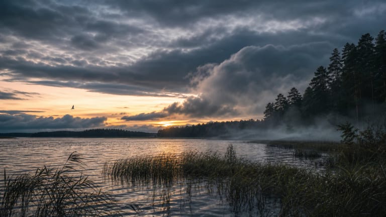 A water cloud descends over the meadows of Lake Vištytis while a warning bird flies by the shore