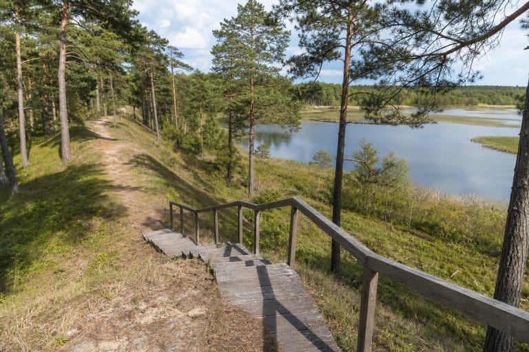 Pušimis apaugusi Žagarės ozo ketera su natūralaus grunto taku, mediniais laiptais ir ežero vaizdu