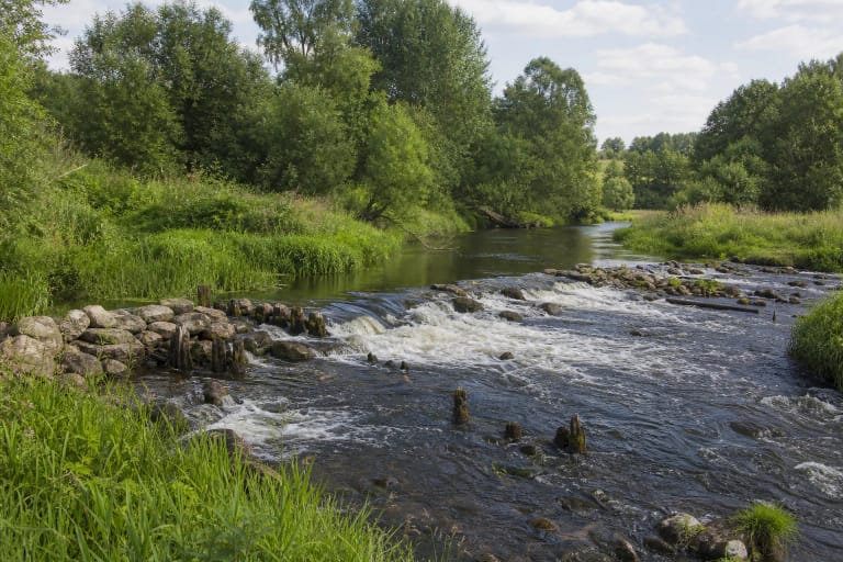 Akmenuotos Žakeliškių vandens malūno užtvankos liekanos sraunioje Dubysoje tarp žalių krantų