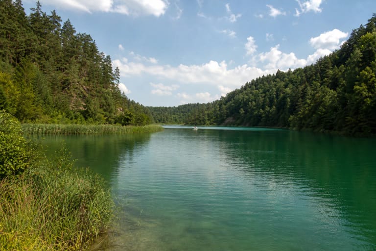 Žaliųjų ežerų žalsvas vanduo tarp stačių miškingų krantų ir nendrynų