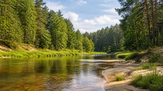 Bend of the clear Žeimena River with sandy bank and Aukštaitija forests