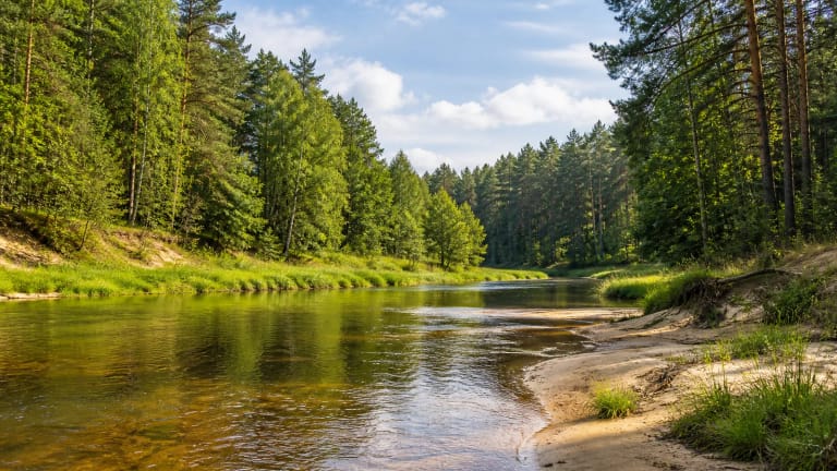 Žeimenos upės vingis su skaidriu vandeniu, smėlingu krantu ir Aukštaitijos miškais