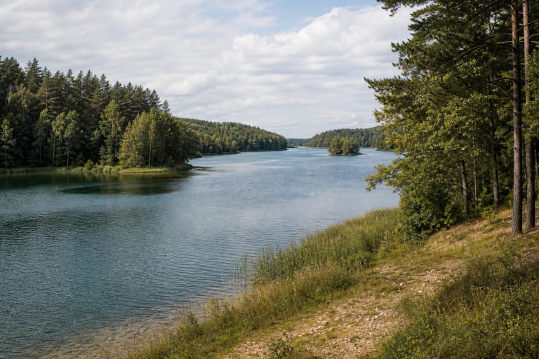 Winding forest-lined Lake Žeimenys with a low wooded island, reeds, and a natural sandy shore