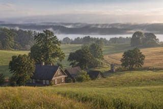 Rolling Žemaitija fields with oak trees, a traditional timber farmstead, and a misty lake