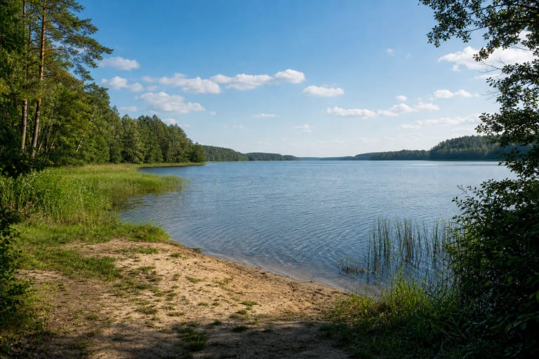 Sandy shore, reeds, and a wooded distant bank on Lake Žirnajai
