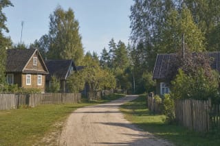 Песчаная дорога, деревянные дома и опушка соснового леса в деревне Жюрай