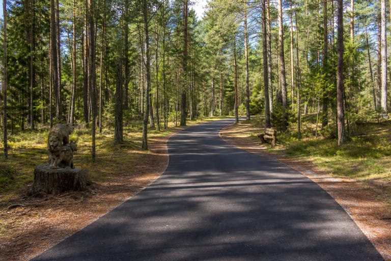Paved Žvėrinčius Forest Trail among tall pines with a carved wooden animal and a rest bench
